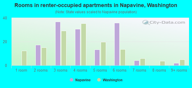 Rooms in renter-occupied apartments in Napavine, Washington