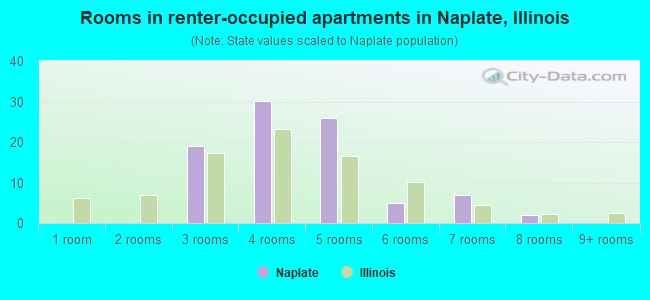 Rooms in renter-occupied apartments in Naplate, Illinois