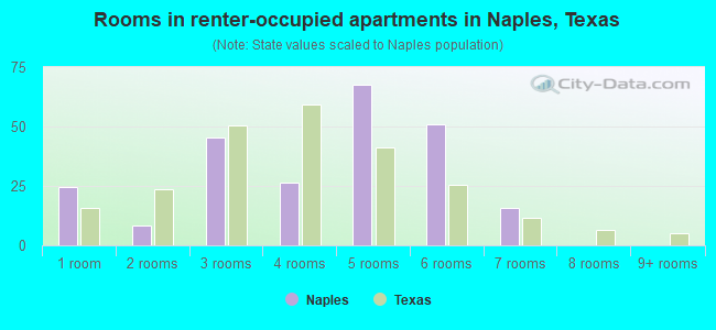 Rooms in renter-occupied apartments in Naples, Texas
