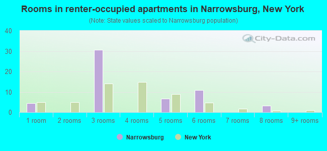 Rooms in renter-occupied apartments in Narrowsburg, New York