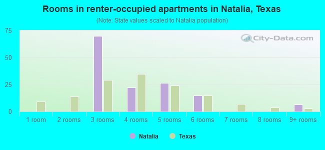 Rooms in renter-occupied apartments in Natalia, Texas