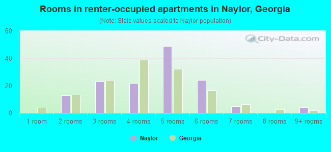 Rooms in renter-occupied apartments in Naylor, Georgia