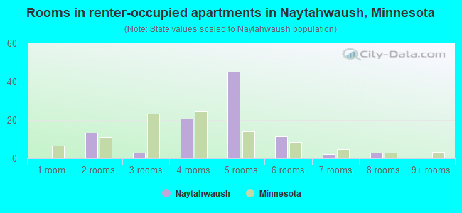 Rooms in renter-occupied apartments in Naytahwaush, Minnesota