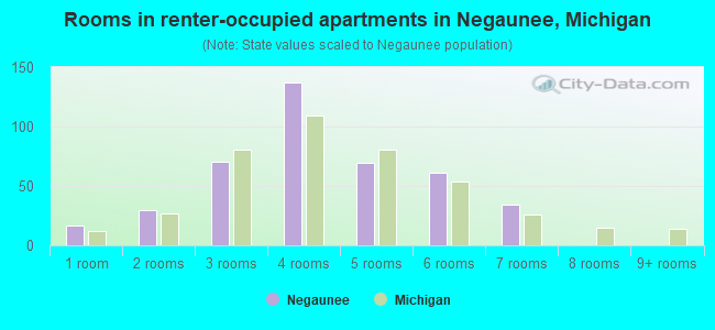 Rooms in renter-occupied apartments in Negaunee, Michigan