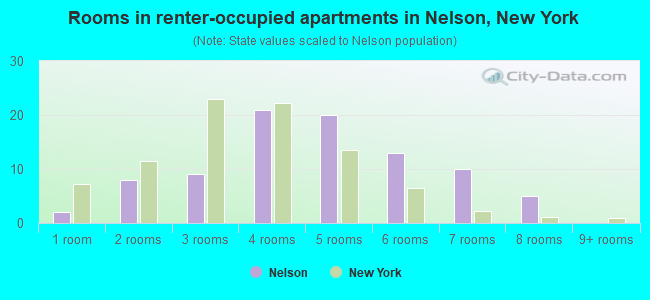 Rooms in renter-occupied apartments in Nelson, New York
