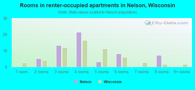 Rooms in renter-occupied apartments in Nelson, Wisconsin