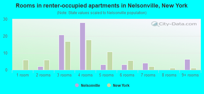 Rooms in renter-occupied apartments in Nelsonville, New York