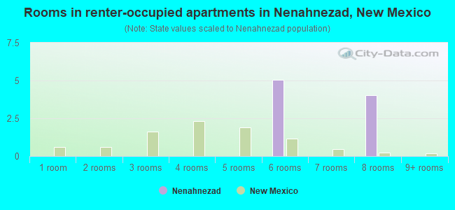 Rooms in renter-occupied apartments in Nenahnezad, New Mexico