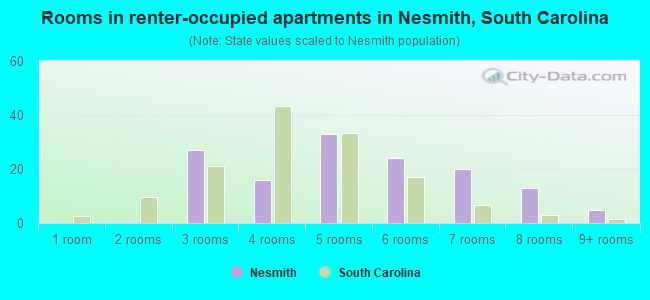 Rooms in renter-occupied apartments in Nesmith, South Carolina