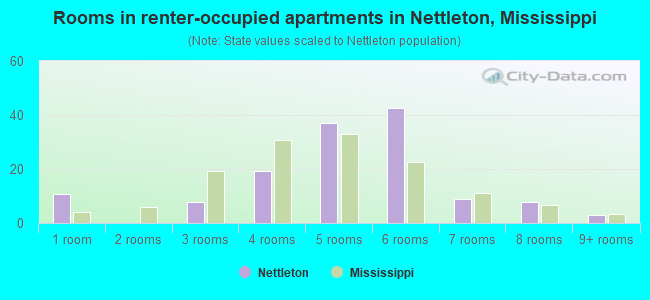 Rooms in renter-occupied apartments in Nettleton, Mississippi