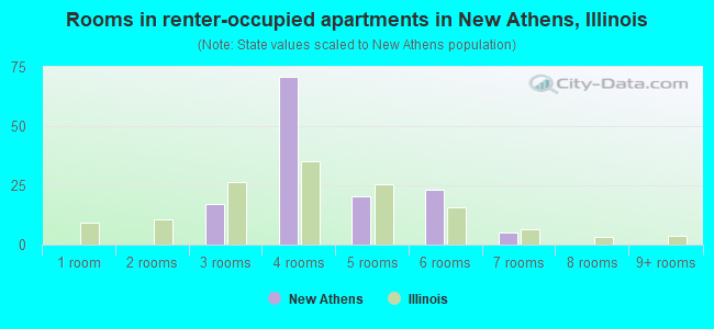 Rooms in renter-occupied apartments in New Athens, Illinois