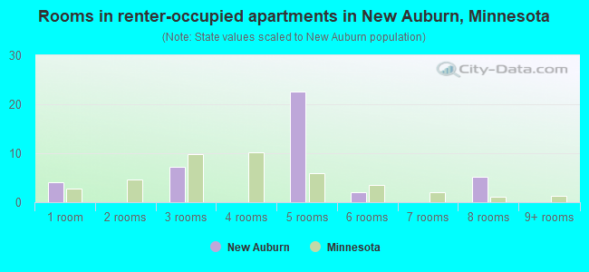 Rooms in renter-occupied apartments in New Auburn, Minnesota
