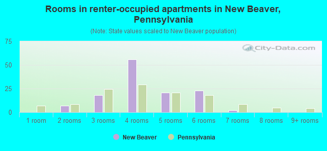 Rooms in renter-occupied apartments in New Beaver, Pennsylvania