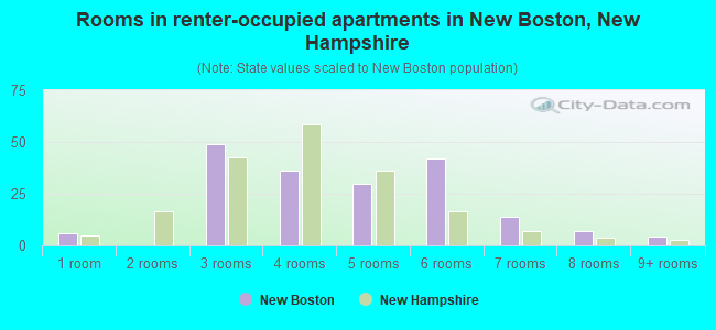 Rooms in renter-occupied apartments in New Boston, New Hampshire