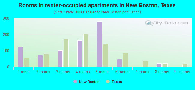 Rooms in renter-occupied apartments in New Boston, Texas