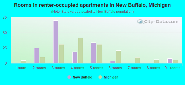 Rooms in renter-occupied apartments in New Buffalo, Michigan