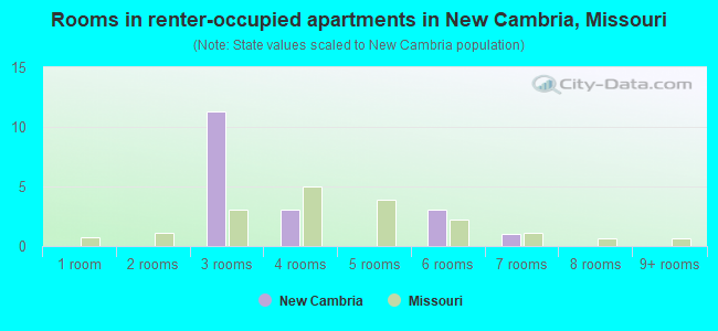 Rooms in renter-occupied apartments in New Cambria, Missouri