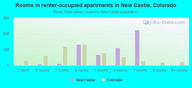 Rooms in renter-occupied apartments in New Castle, Colorado
