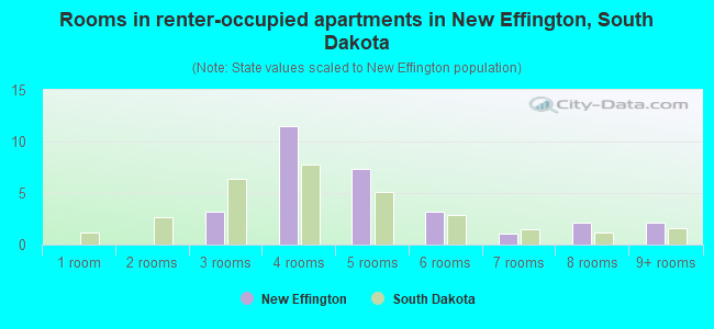 Rooms in renter-occupied apartments in New Effington, South Dakota