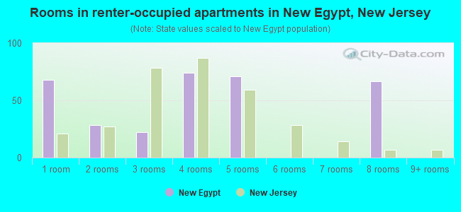 Rooms in renter-occupied apartments in New Egypt, New Jersey