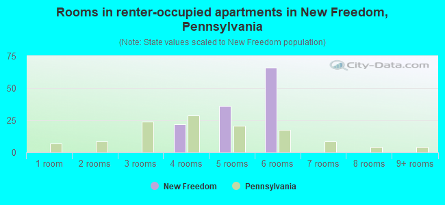 Rooms in renter-occupied apartments in New Freedom, Pennsylvania