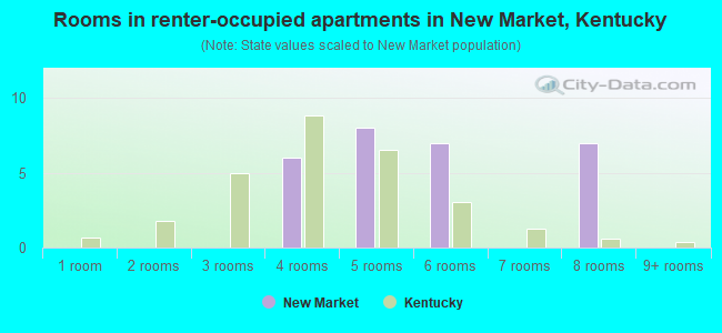 Rooms in renter-occupied apartments in New Market, Kentucky