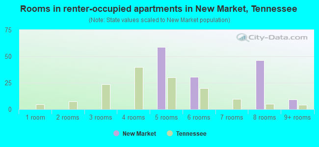 Rooms in renter-occupied apartments in New Market, Tennessee