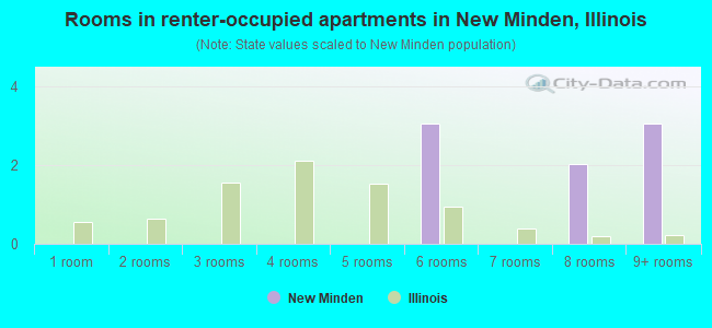 Rooms in renter-occupied apartments in New Minden, Illinois