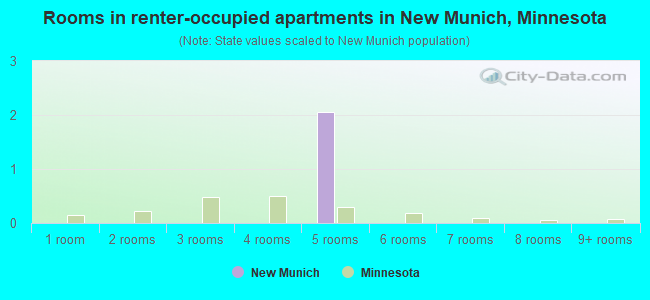 Rooms in renter-occupied apartments in New Munich, Minnesota