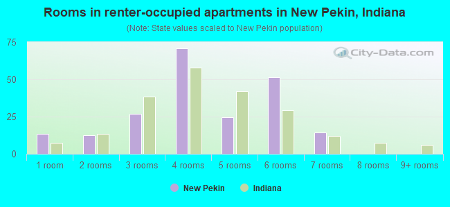 Rooms in renter-occupied apartments in New Pekin, Indiana