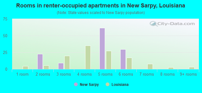 Rooms in renter-occupied apartments in New Sarpy, Louisiana