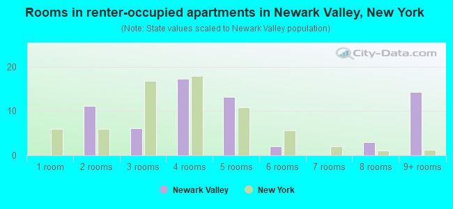 Rooms in renter-occupied apartments in Newark Valley, New York