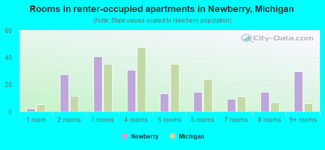 Rooms in renter-occupied apartments in Newberry, Michigan