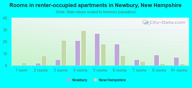 Rooms in renter-occupied apartments in Newbury, New Hampshire