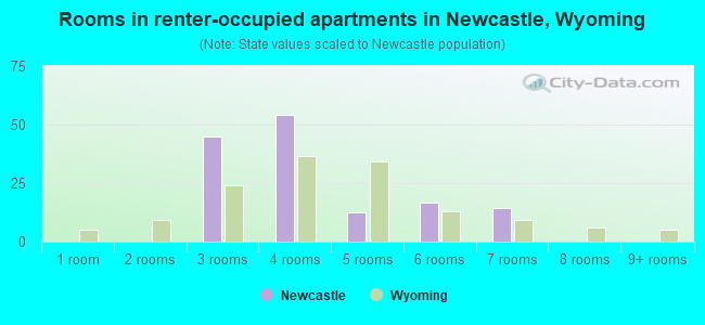 Rooms in renter-occupied apartments in Newcastle, Wyoming