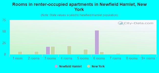 Rooms in renter-occupied apartments in Newfield Hamlet, New York