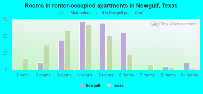 Rooms in renter-occupied apartments in Newgulf, Texas