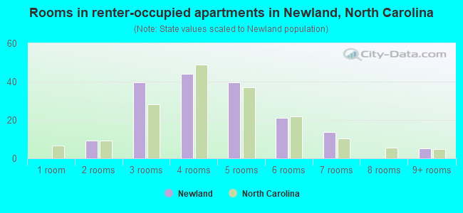 Rooms in renter-occupied apartments in Newland, North Carolina