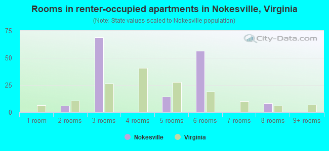 Rooms in renter-occupied apartments in Nokesville, Virginia