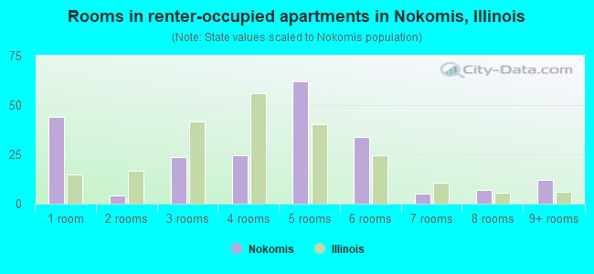 Rooms in renter-occupied apartments in Nokomis, Illinois