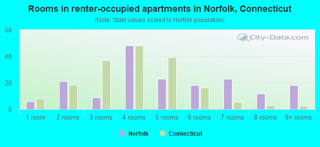 Rooms in renter-occupied apartments in Norfolk, Connecticut