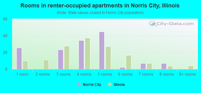 Rooms in renter-occupied apartments in Norris City, Illinois