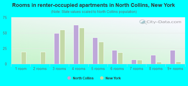 Rooms in renter-occupied apartments in North Collins, New York