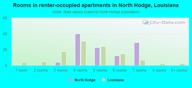 Rooms in renter-occupied apartments in North Hodge, Louisiana