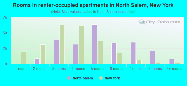 Rooms in renter-occupied apartments in North Salem, New York