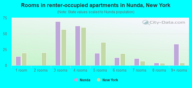 Rooms in renter-occupied apartments in Nunda, New York