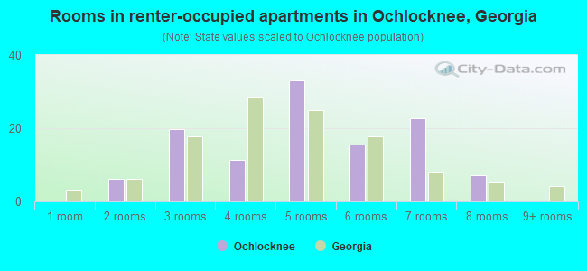 Rooms in renter-occupied apartments in Ochlocknee, Georgia