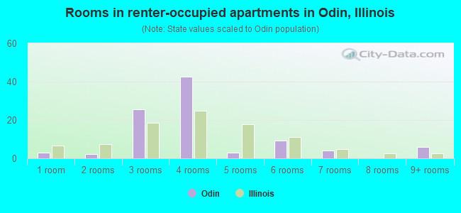 Rooms in renter-occupied apartments in Odin, Illinois