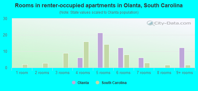 Rooms in renter-occupied apartments in Olanta, South Carolina