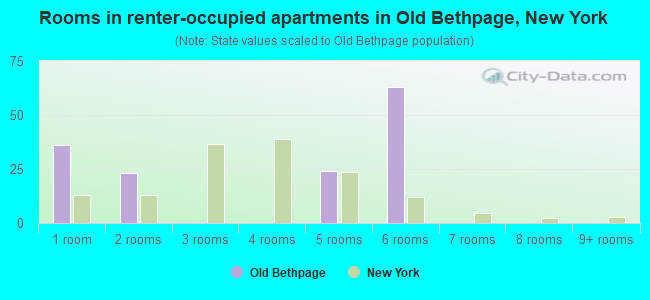 Rooms in renter-occupied apartments in Old Bethpage, New York